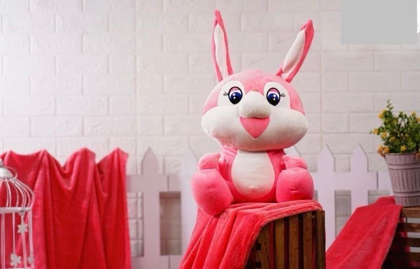 Pink/Blue Baby Bunny Animal Stuffed Toy Blanket for Kids Boys & Girls