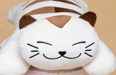 The Quirky Cat Stuffed Toy Blanket for Kids Boys & Girls